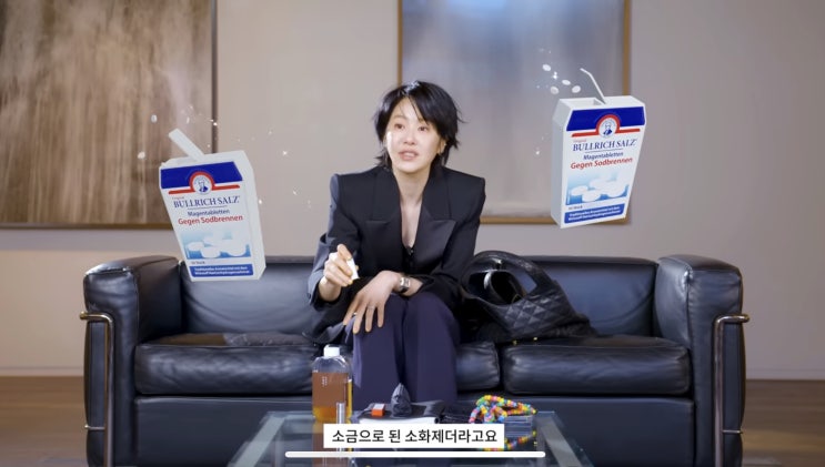  [뀰템] 품절대란 마이보그 왓츠인마이백에 나온 고현정 소화제 '독일 불리히 소화제' 내돈내산 후기