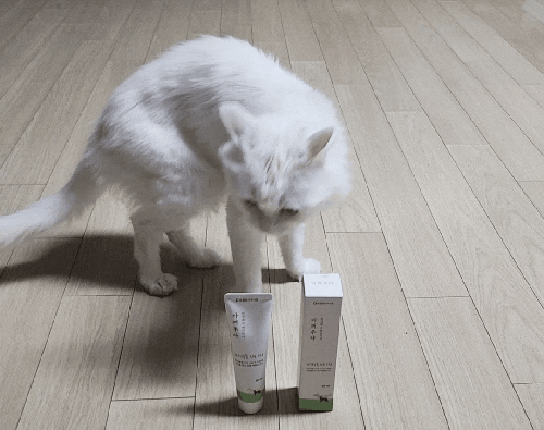  반려동물 전용크림 강아지발바닥 고양이 발바닥 함께 관리해요!!!