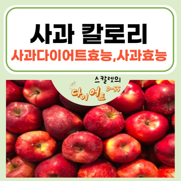  사과 1개 칼로리와  사과효능 9가지