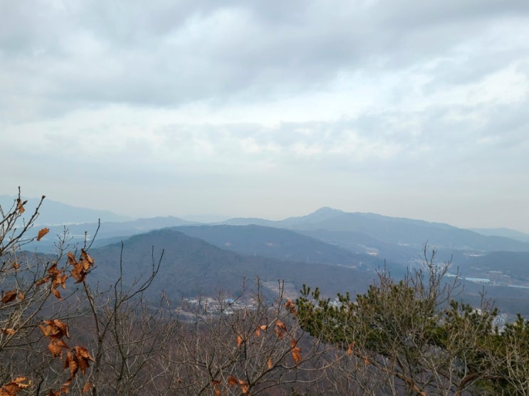 수원 광교산 최단코스 등산(상광교 종점~사방댐~토끼재~시루봉~노루목~억새밭~원점)