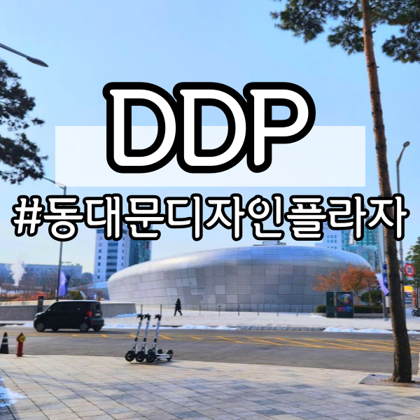 동대문디자인플라자 DDP (DDP 건물 투어, 무료 전시, 서울 데이트 코스)