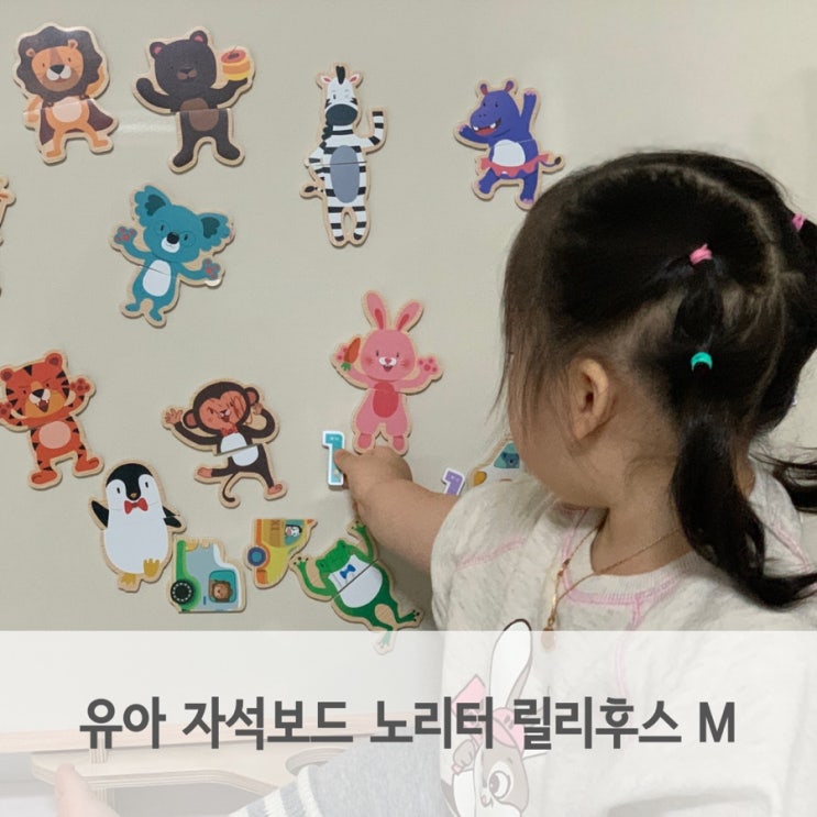  유아 자석보드 구매 시기, 노리터 릴리후스 M 사이즈 후기