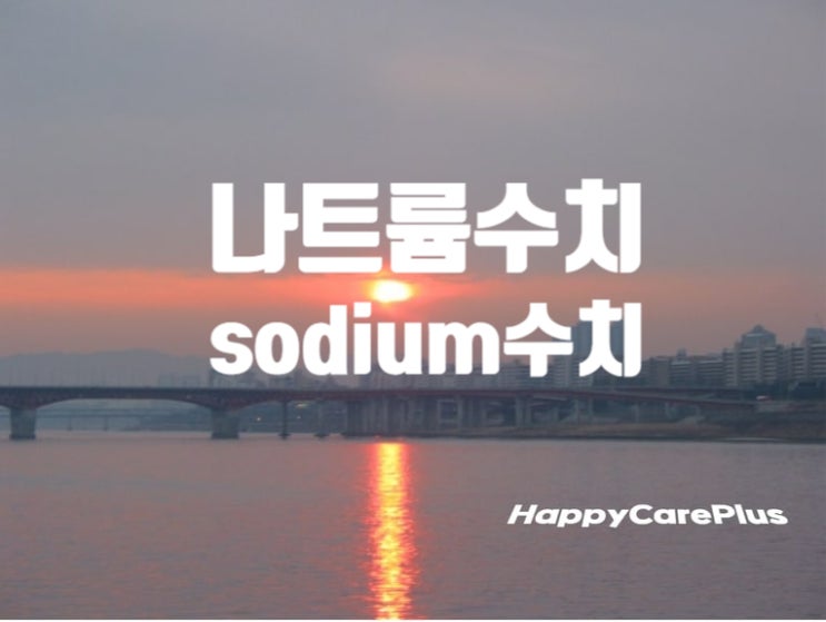  혈중 나트륨 수치 (sodium 수치)