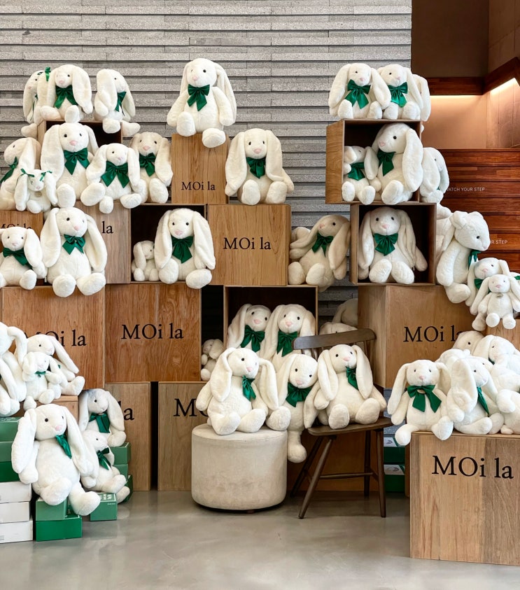  전주 신상카페 대형 베이커리 모이라 MOi la