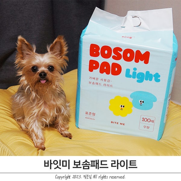 강아지배변패드 가성비 좋은 바잇미 보솜패드 라이트 강아지배변패드 가성비 좋은 바잇미 보솜패드 라이트