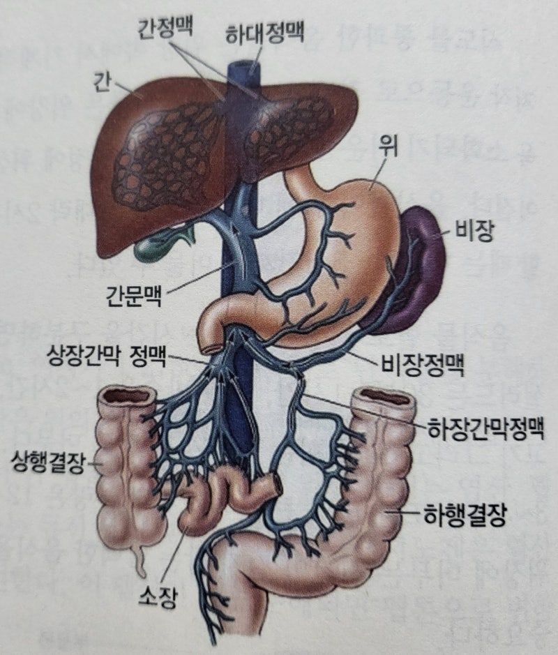 16년 경력 간호사의 양자분석 측정 결과 : 네이버 블로그
