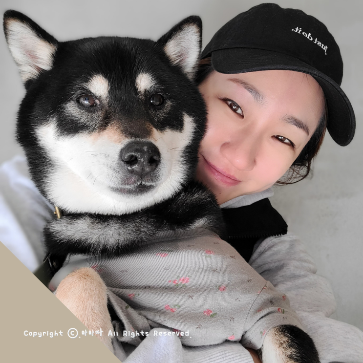  강아지건강검진 하기 (w.금호동 조형선외과동물병원)