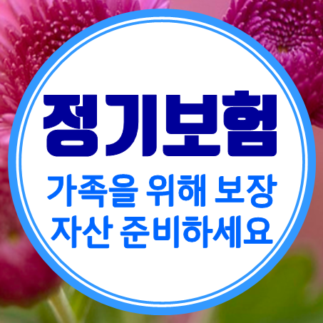  사망정기보험 추천 비갱신 인터넷정기보험 괜찮은 회사 어디인지 확인해 보세요.