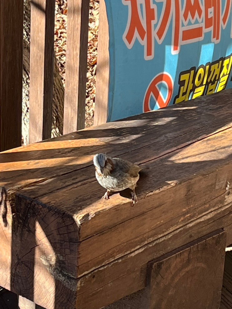  QR 코드 계산방법