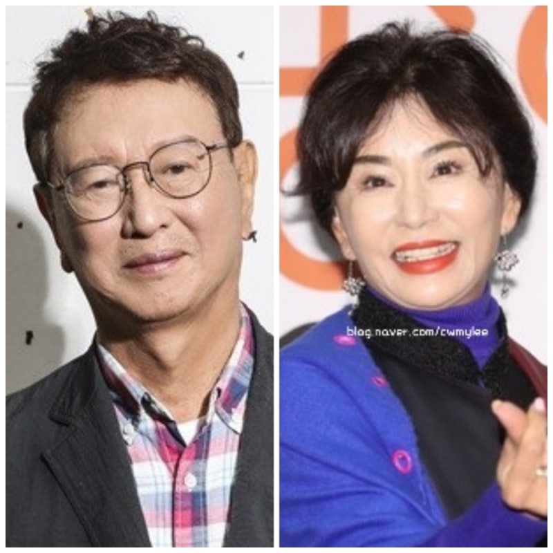 jtbc 손없는날 11회 전유성 전부인 ⭕️진미령 나이 키 프로필 딸 제비 손녀 김래인 한가인 남....