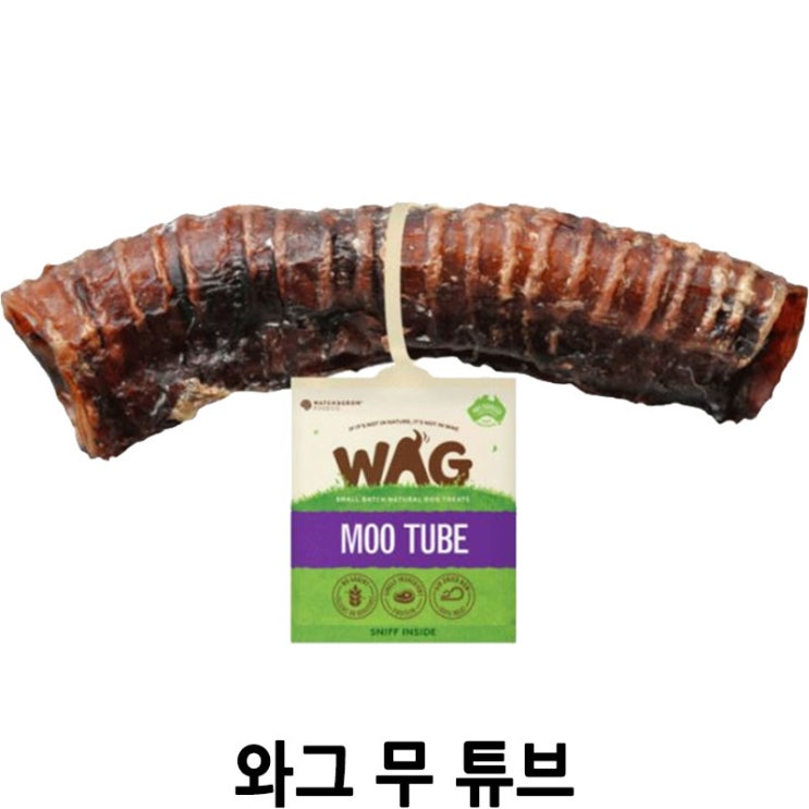  [와그 무 튜브] 배곧 반려용품점 펫마루