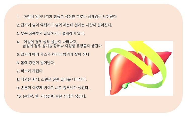  간 건강에 좋은 음식, 간을 챙겨야 할 때 리버쉴드