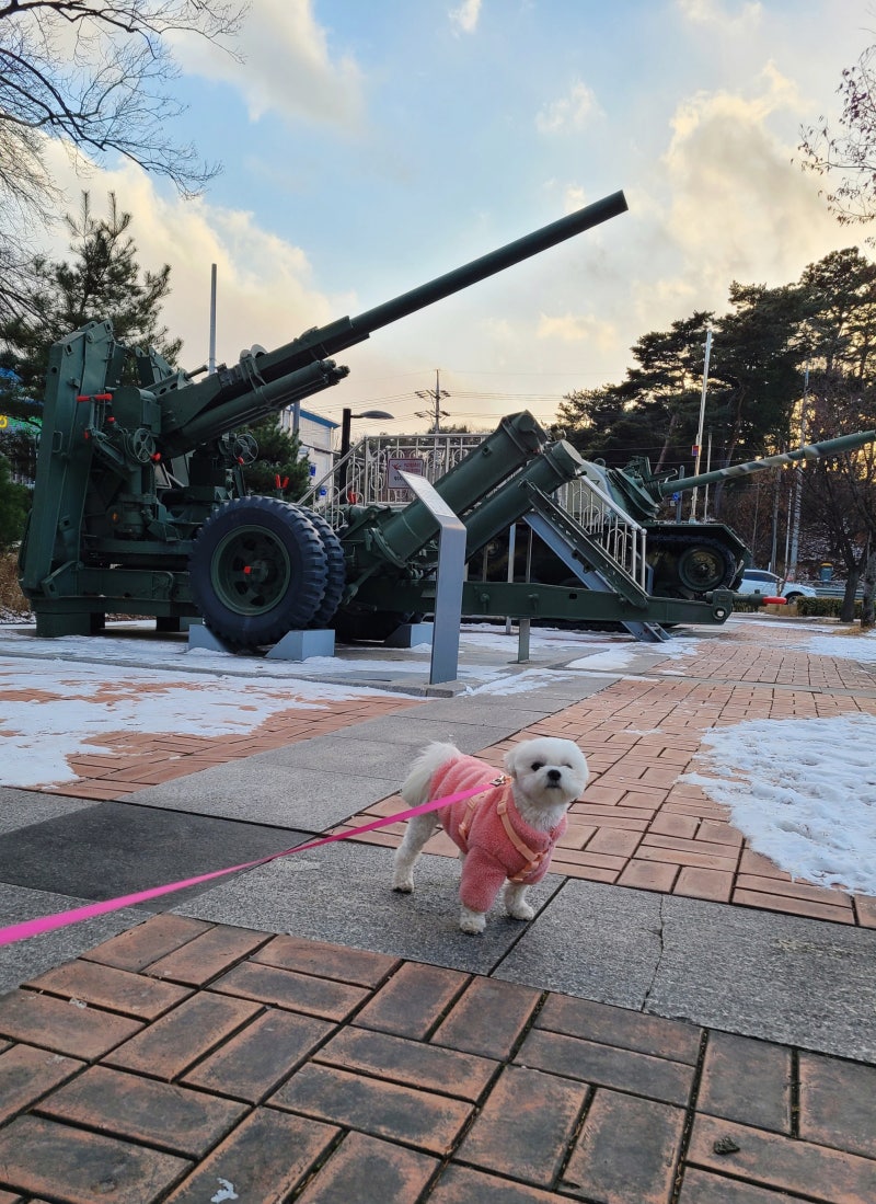 야외 전쟁 기념관 청동 베트남 군인 동상 공급업체 BOKK-38, image size:800x1099