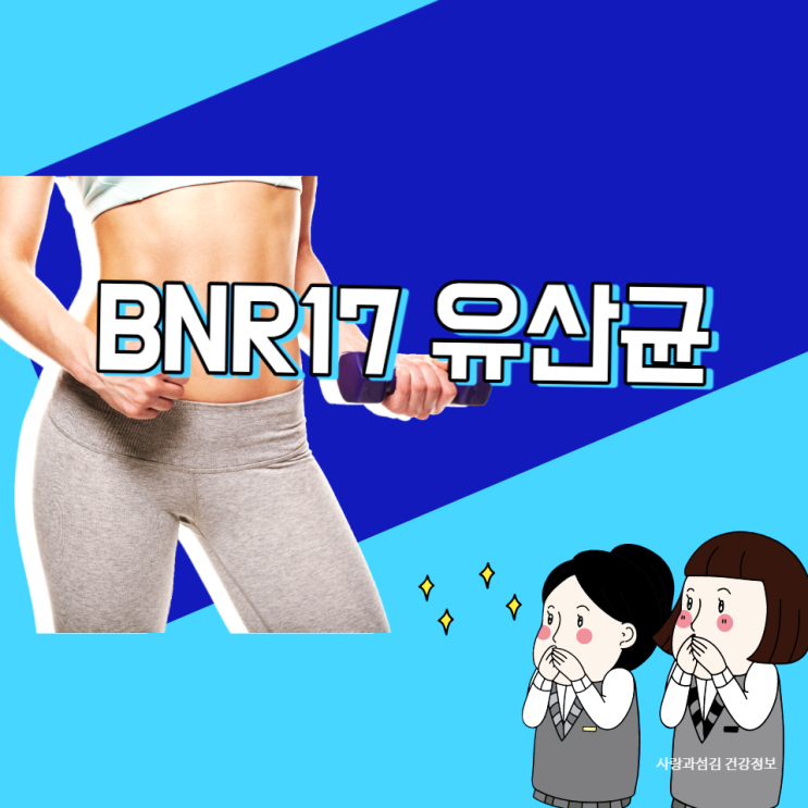 bnr17 유산균 부작용 효능 비에날씬 다이어트유산균 먹는법 알려드려요 bnr17 유산균 부작용 효능 비에날씬 다이어트유산균 먹는법 알려드려요