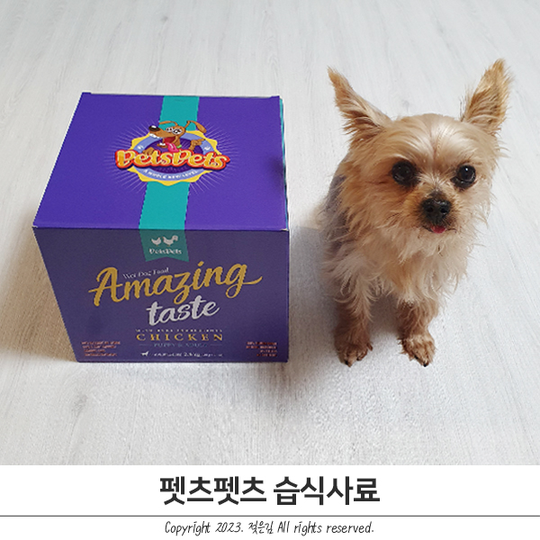 강아지사료추천 기호성 좋은 펫츠펫츠 습식사료 강아지사료추천 기호성 좋은 펫츠펫츠 습식사료