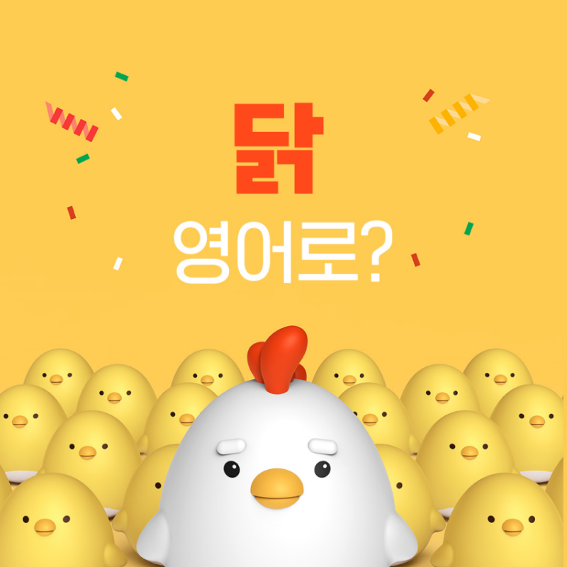 [뇌새김] 닭 영어로 하면? (+치킨, 닭 vs 닭고기 구분하는 법!)