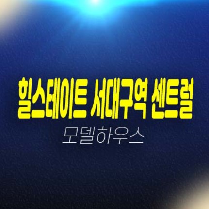 힐스테이트 서대구역 센트럴 미분양아파트 비산동 현대건설 줍줍 분양금액 평형대 유니트 잔여호실 견본주택 예약상담 힐스테이트 서대구역 센트럴 미분양아파트 비산동 현대건설 줍줍 분양금액 평형대 유니트 잔여호실 견본주택 예약상담
