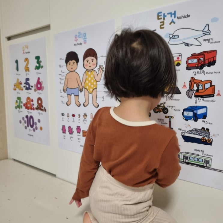  유아포스터 투영 방수되는 한글 아기벽보 감성적이야