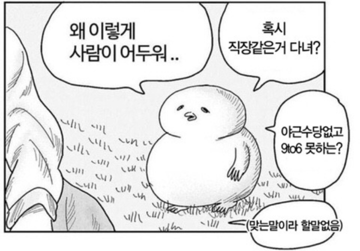  [230214] 주짓수 12회차