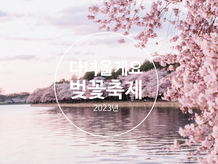 2023년 전국 벚꽃 개화 시기와 진해 군항제 날짜