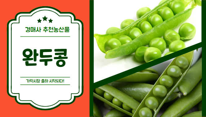  [경매사 추천 농산물] 아직 때가 안되었지만, 먼저 먹어봅시다! "완두콩"