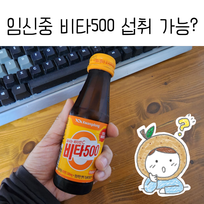  임산부 비타500 임신중 마셔도 괜찮을까?