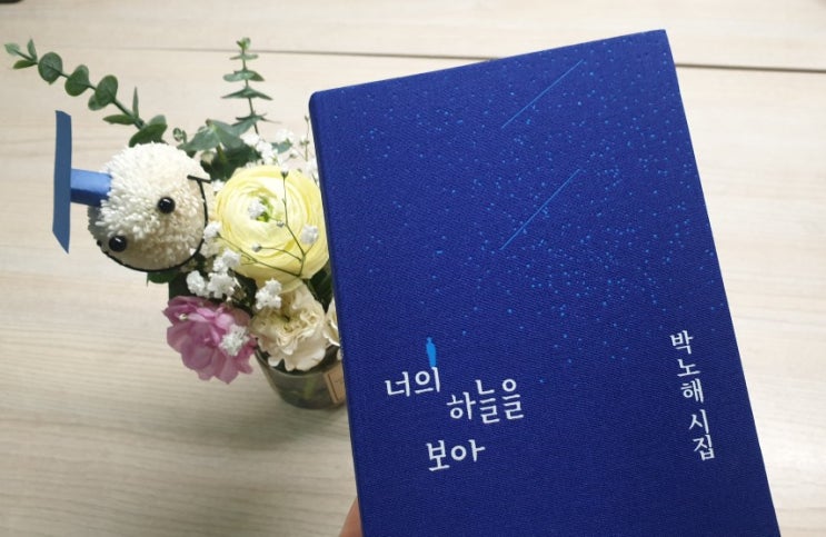  박노해 시집을 사다_너의 하늘을 보아 (feat. 나를 위한 선물)