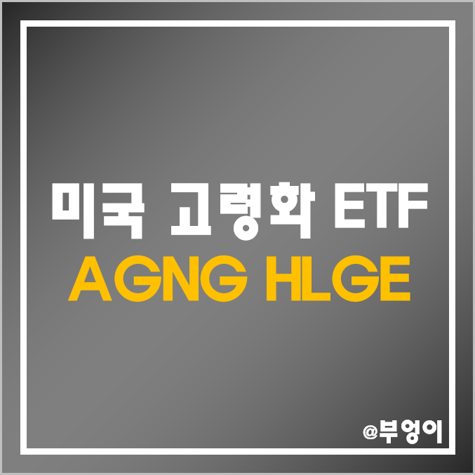 고령화 관련 미국 ETF - AGNG, HLGE (노인 및 치매 관련주)