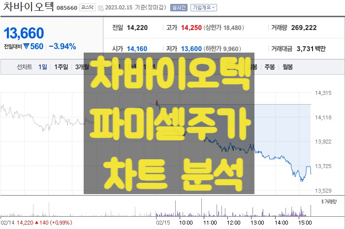 줄기세포 관련주 TOP2 파미셀 차바이오텍 주가 집중 분석