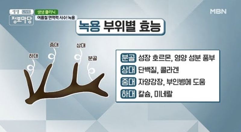 뉴질랜드 녹용의 효능과 부작용에 대해 알려드립니다.