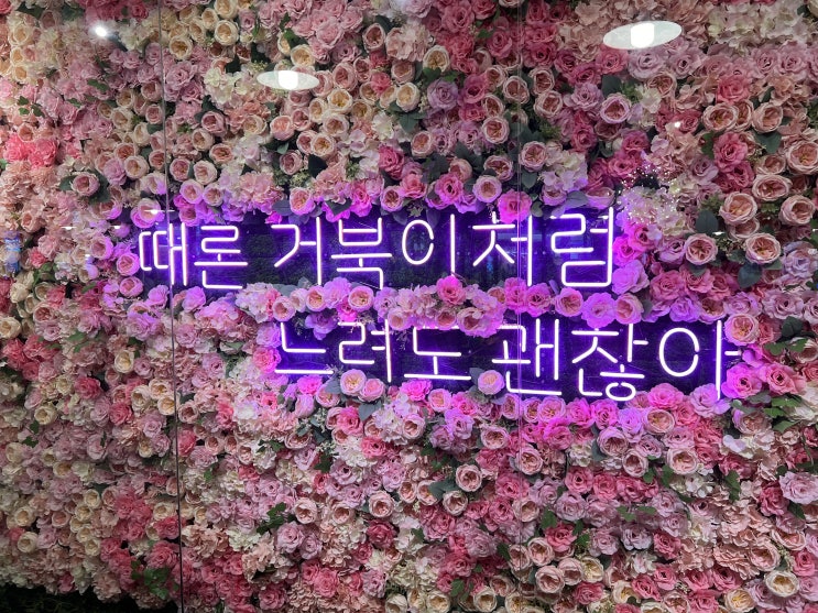  판교 파미어스몰 거부기 앤 쿠펫 : 거북이 체험과 파충류를 구경하면서 5살 아들이 재미있게 놀다 올 수 있었던 아이와 가기 좋은 카페