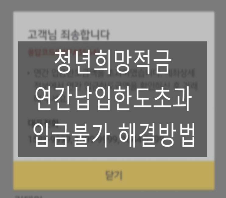  청년희망적금 연간입금한도초과 28일 가입자 해결방법