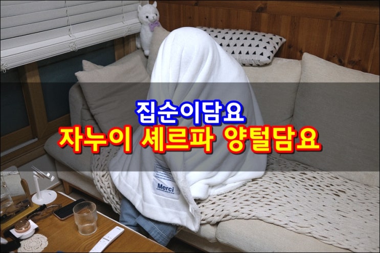  차량 쇼파에서 체온유지 극세사담요 자누이 셰르파 양털담요