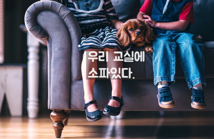  캐나다 vs 한국 학교 비교 후기 (학부모 관점)