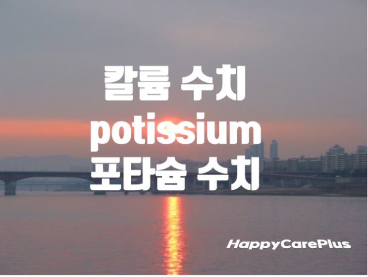 potassium 포타슘 수치 (칼륨수치)