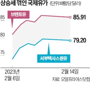 러 원유 감산에 美는 비축유 풀어 '유가 안정' 러 원유 감산에 美는 비축유 풀어 '유가 안정'