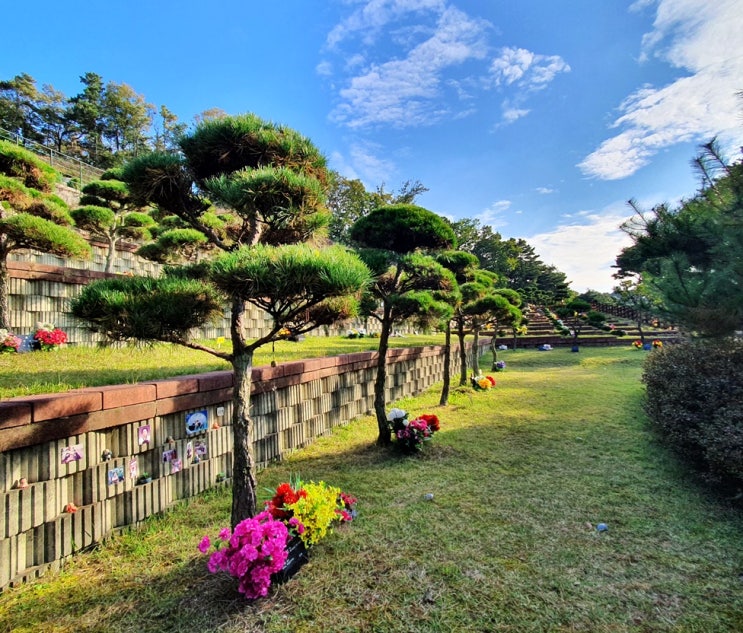  용인수목장 합리적 선택할 때 중요한 점