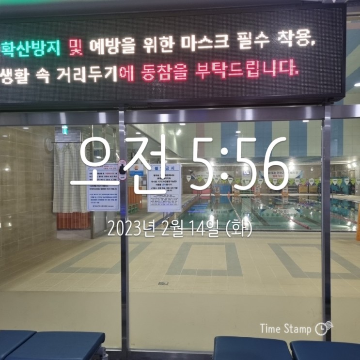 [수영일기] 새벽수영 단체강습(수영 77일차), 강남스포츠문화센터 수영강습 중급반 재등록