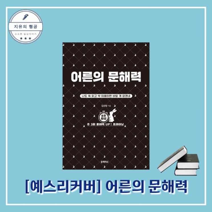  쓱 읽고 싹 이해하는ㅣ어른의 문해력 -  김선영, 블랙피쉬