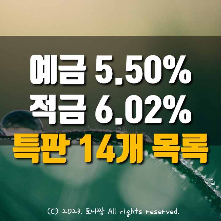 오늘의 예금특판 연5.5%, 적금특판 연6.02% 왜관 송림 성일 평리 하나 새마을금고