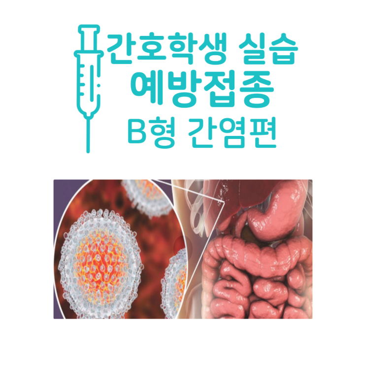  3학년 간호대생 병원실습 전 B형간염 예방접종 방법, 비용, 합병증, 필요성 대해 알아봐요!