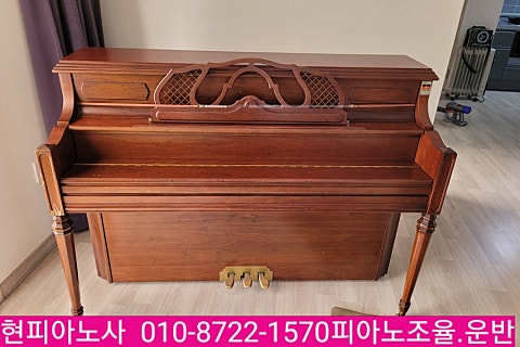 라온피아노음악교습소 이미지