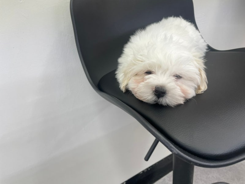 용현전자담배 이미지