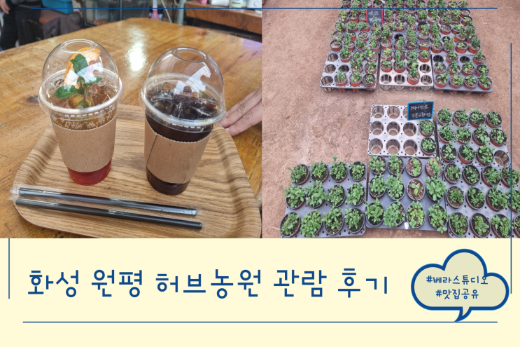 화성 원평허브농원 가족 나들이 데이트 장소 추천 화성 원평허브농원 가족 나들이 데이트 장소 추천