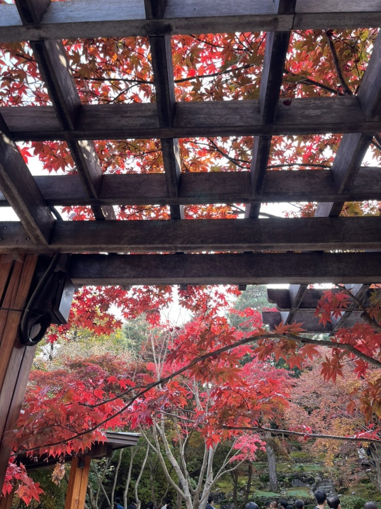  쇼핑몰 세무사 - 쇼핑몰 창업 전 고려사항