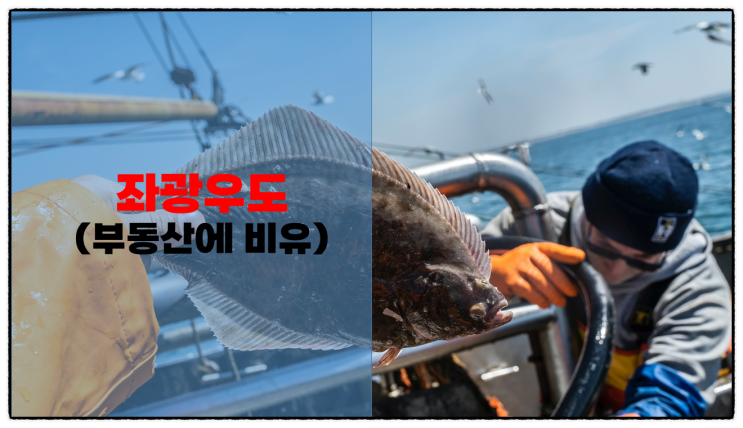  좌광우도 뜻, 부동산 중개와 투자에도 적용된다!