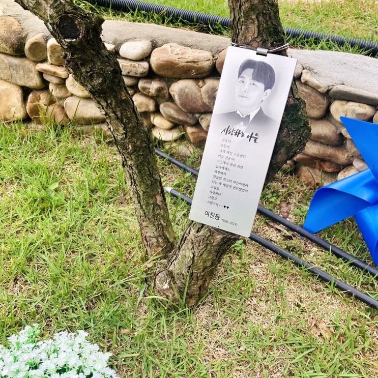  수목장 하는 절차와 방법