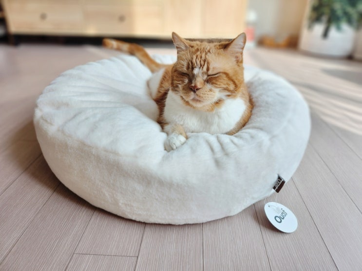  고양이 마약방석 겨울철 난방비 걱정 없는 오우프 릴렉스 쿠션 침대