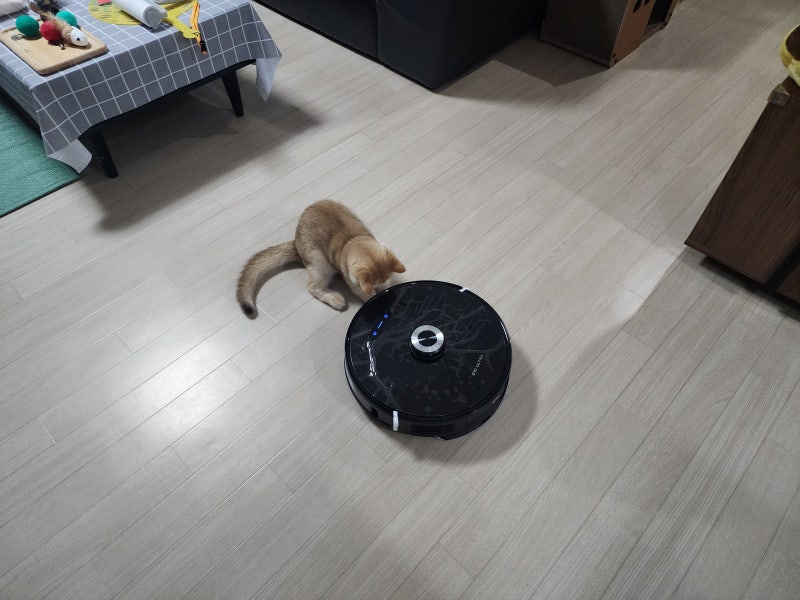 고양이 집사 엠지텍 로봇청소기 내돈내산 단점 후기