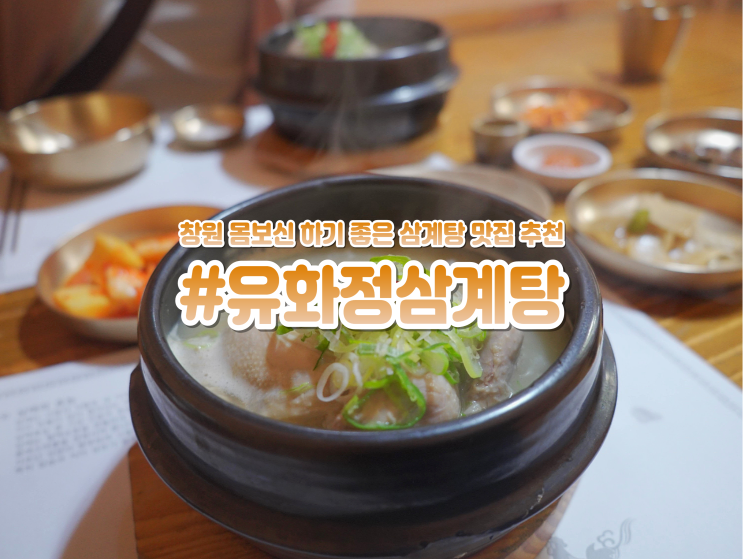  창원 중동 몸보신 맛집 겨울 보양식 유화정삼계탕 추천